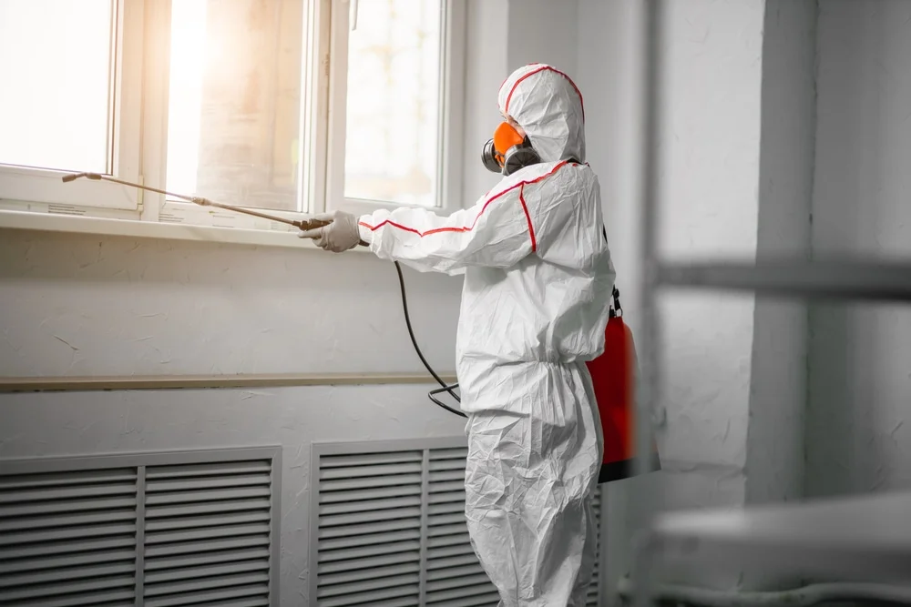 Professional mold remediation services in Marshallville, GA